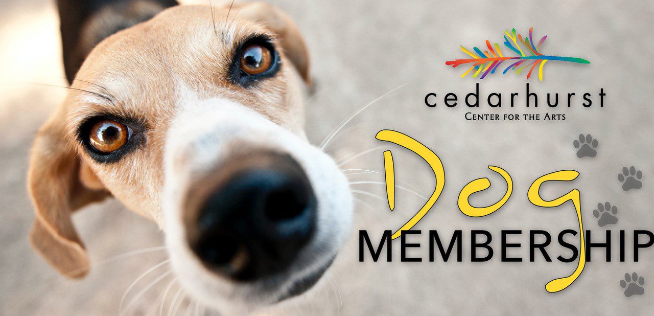 Dog Membership Header