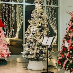 Festival of Trees Open House
